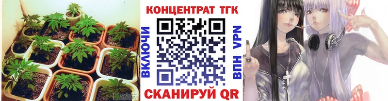 продажа наркотиков Покров МЕГА маркетплейс ТГК жижа