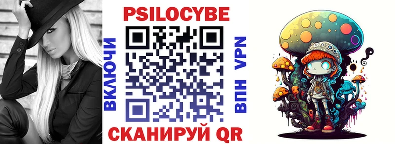 Галлюциногенные грибы Psilocybine cubensis  где можно купить наркотик  Покров 